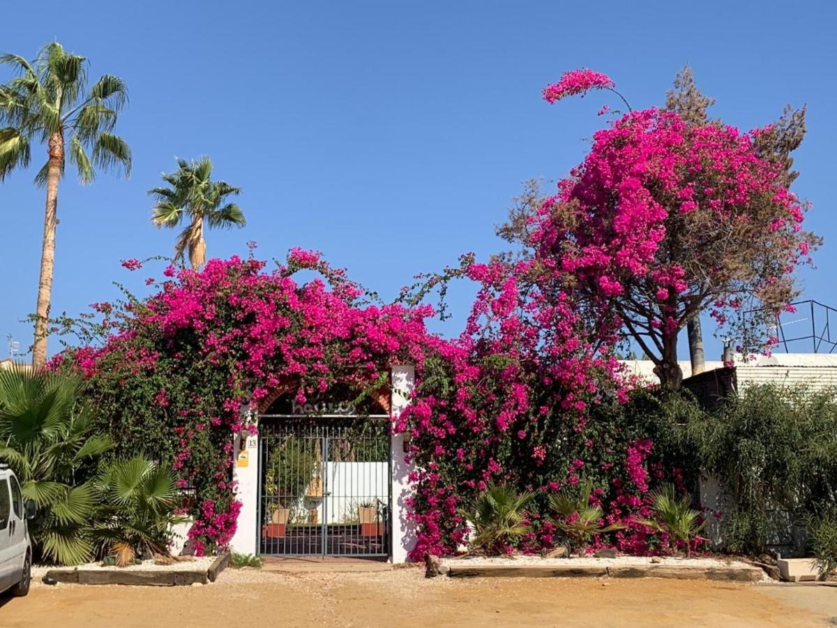 Villa Casa Tranquila San Juan de los Terreros Esterno foto